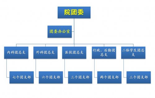 团委组织结构图_青年园地_党务建设_党建文化_南京第